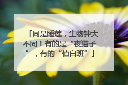 同是睡莲，生物钟大不同！有的是“夜猫子”，有的“值白班”