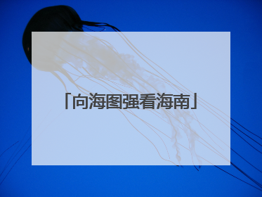 向海图强看海南