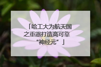 哈工大为航天国之重器打造高可靠“神经元”