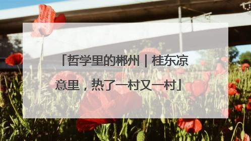 哲学里的郴州｜桂东凉意里，热了一村又一村