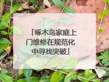 啄木鸟家庭上门维修在规范化中寻找突破