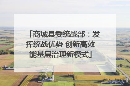 商城县委统战部：发挥统战优势 创新高效能基层治理新模式