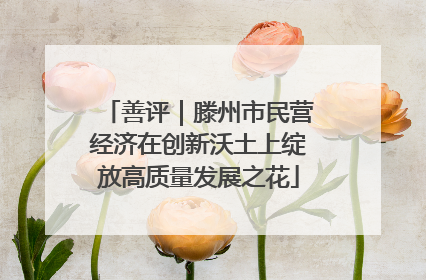 善评｜滕州市民营经济在创新沃土上绽放高质量发展之花
