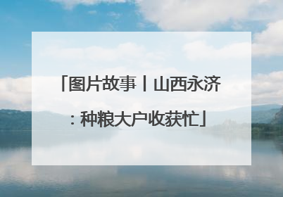 图片故事丨山西永济：种粮大户收获忙