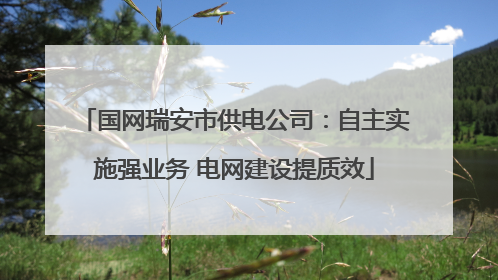 国网瑞安市供电公司：自主实施强业务 电网建设提质效