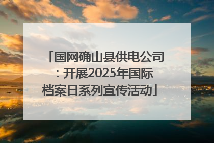 国网确山县供电公司：开展2025年国际档案日系列宣传活动