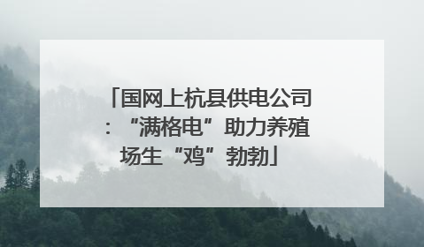 国网上杭县供电公司：“满格电”助力养殖场生“鸡”勃勃