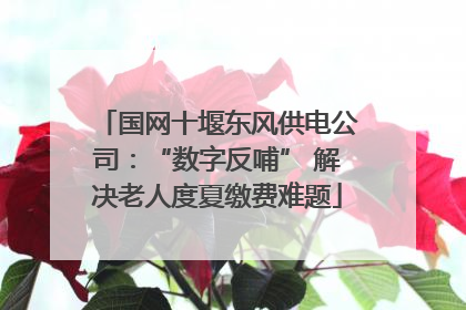 国网十堰东风供电公司：“数字反哺” 解决老人度夏缴费难题