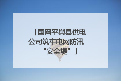 国网平舆县供电公司筑牢电网防汛“安全堤”