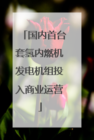 国内首台套氢内燃机发电机组投入商业运营