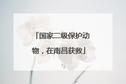 国家二级保护动物，在南昌获救