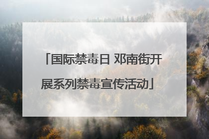 国际禁毒日 邓南街开展系列禁毒宣传活动