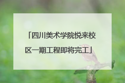 四川美术学院悦来校区一期工程即将完工