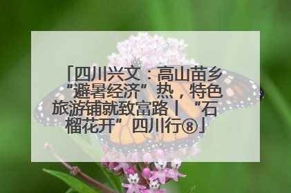 四川兴文：高山苗乡“避暑经济”热，特色旅游铺就致富路丨“石榴花开”四川行⑧