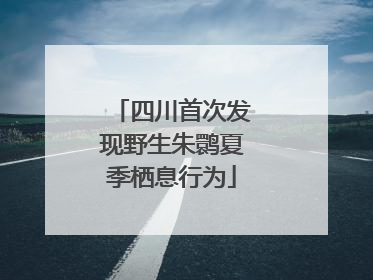 四川首次发现野生朱鹮夏季栖息行为