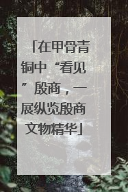 在甲骨青铜中“看见”殷商，一展纵览殷商文物精华
