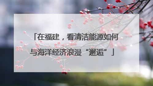 在福建，看清洁能源如何与海洋经济浪漫“邂逅”