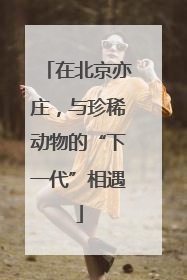 在北京亦庄，与珍稀动物的“下一代”相遇
