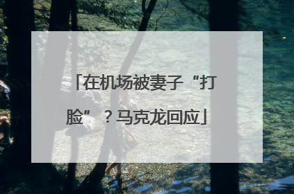 在机场被妻子“打脸”？马克龙回应