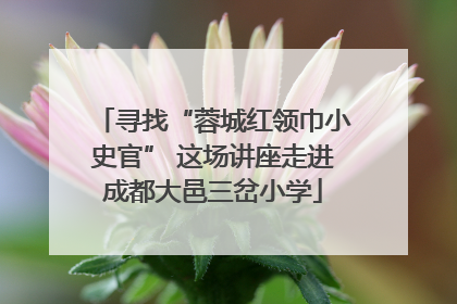 寻找“蓉城红领巾小史官” 这场讲座走进成都大邑三岔小学