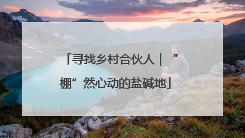 寻找乡村合伙人｜“棚”然心动的盐碱地