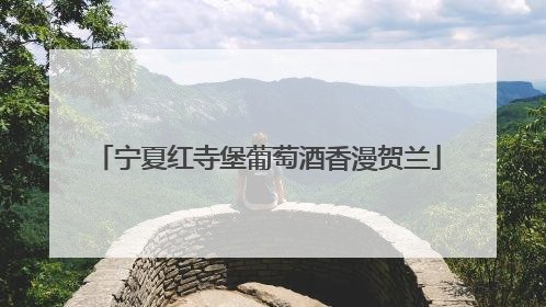 宁夏红寺堡葡萄酒香漫贺兰