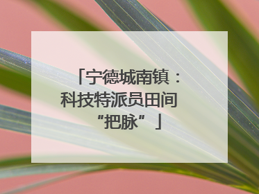 宁德城南镇：科技特派员田间“把脉”