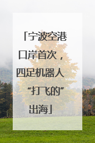 宁波空港口岸首次，四足机器人“打飞的”出海