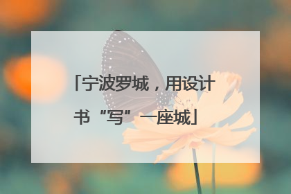 宁波罗城，用设计书“写”一座城