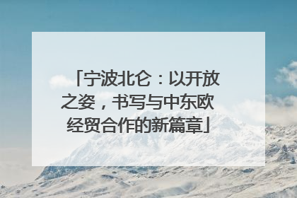 宁波北仑：以开放之姿，书写与中东欧经贸合作的新篇章