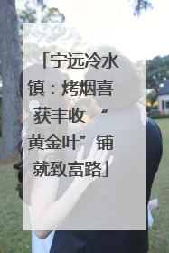 宁远冷水镇：烤烟喜获丰收 “黄金叶”铺就致富路