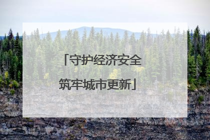守护经济安全 筑牢城市更新