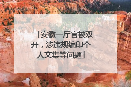 安徽一厅官被双开，涉违规编印个人文集等问题