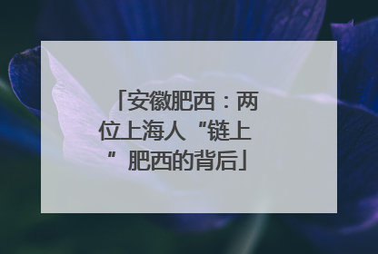 安徽肥西：两位上海人“链上”肥西的背后