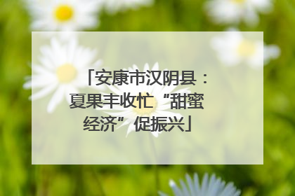 安康市汉阴县：夏果丰收忙“甜蜜经济”促振兴
