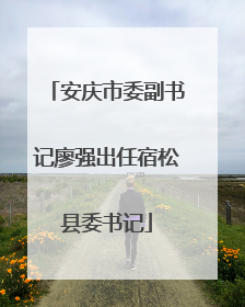 安庆市委副书记廖强出任宿松县委书记