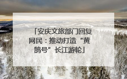 安庆文旅部门回复网民：推动打造“黄鹄号”长江游轮