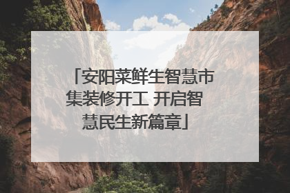 安阳菜鲜生智慧市集装修开工 开启智慧民生新篇章