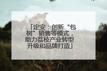 定安：创新“包树”销售等模式，助力荔枝产业转型升级和品牌打造