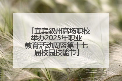 宜宾叙州高场职校举办2025年职业教育活动周暨第十七届校园技能节