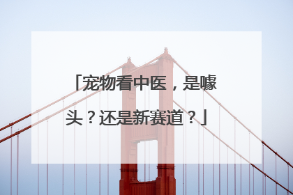 宠物看中医，是噱头？还是新赛道？