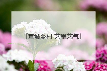 宣城乡村 艺里艺气