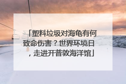 塑料垃圾对海龟有何致命伤害？世界环境日，走进开普敦海洋馆
