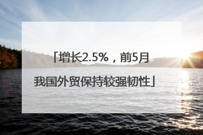 增长2.5%，前5月我国外贸保持较强韧性