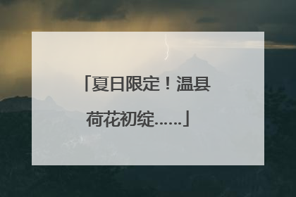 夏日限定！温县荷花初绽……