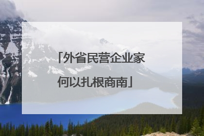 外省民营企业家何以扎根商南