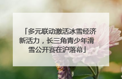多元联动激活冰雪经济新活力，长三角青少年滑雪公开赛在沪落幕
