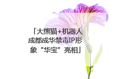 大熊猫+机器人 成都成华禁毒IP形象“华宝”亮相