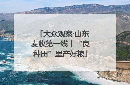 大众观察·山东麦收第一线丨“良种田”里产好粮