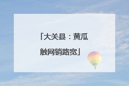大关县：黄瓜触网销路宽